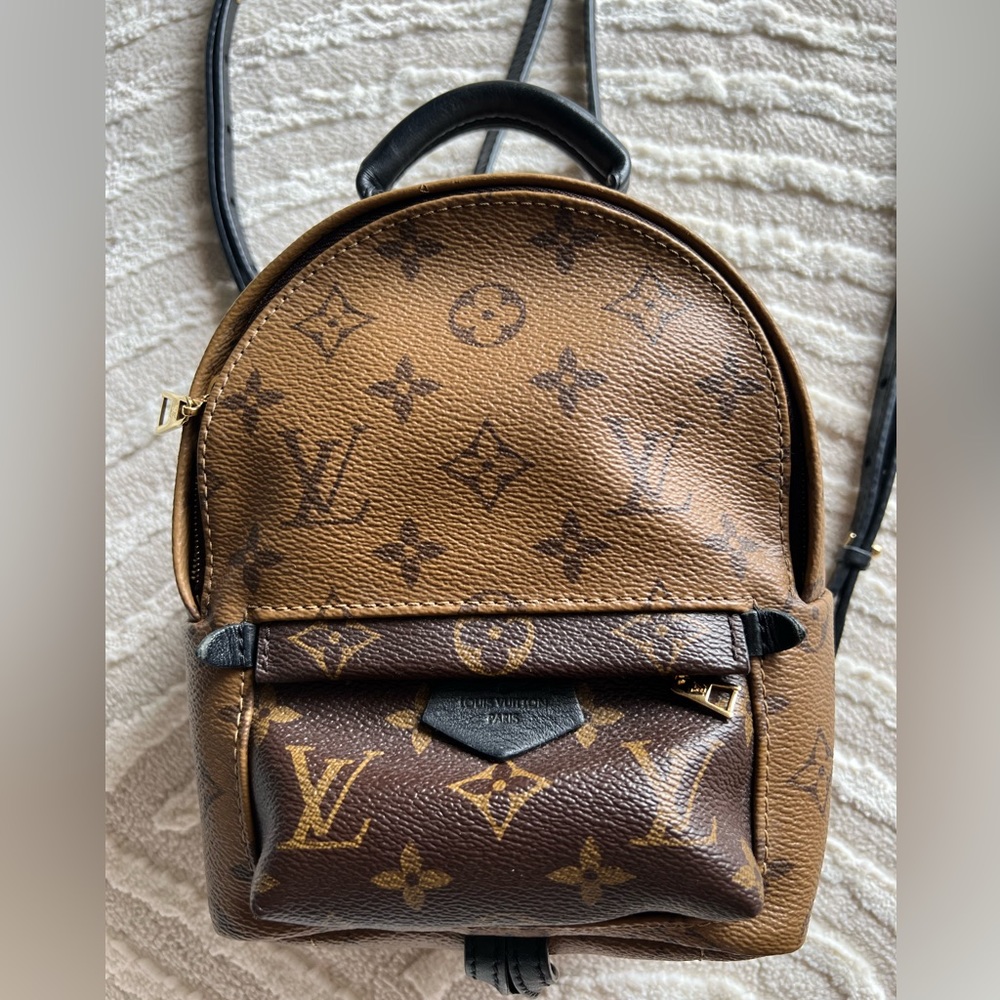 Louis Vuitton Palm Springs Mini Reverse